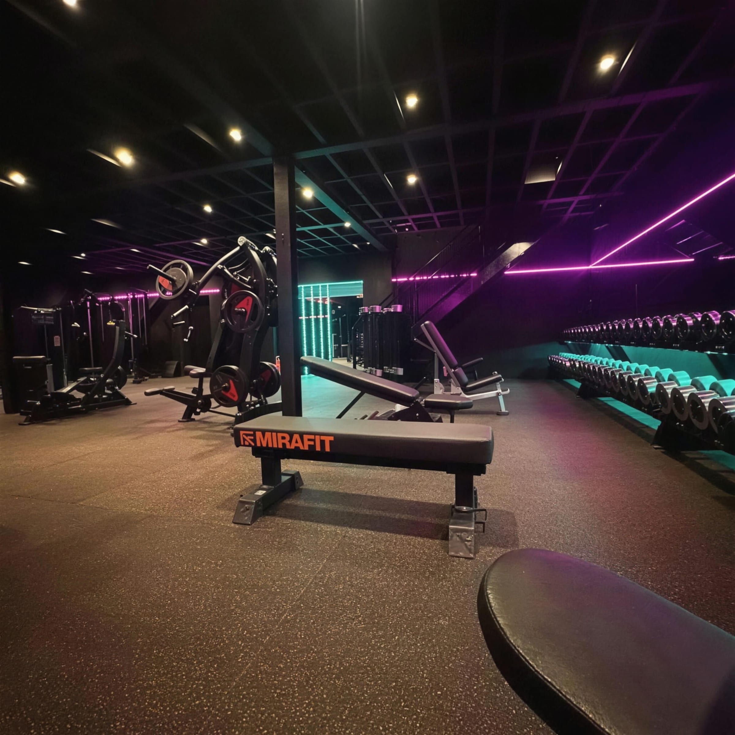 Gym floor under magenta LED runs with a flat bench centred in the foreground and dumbbell racks behind.