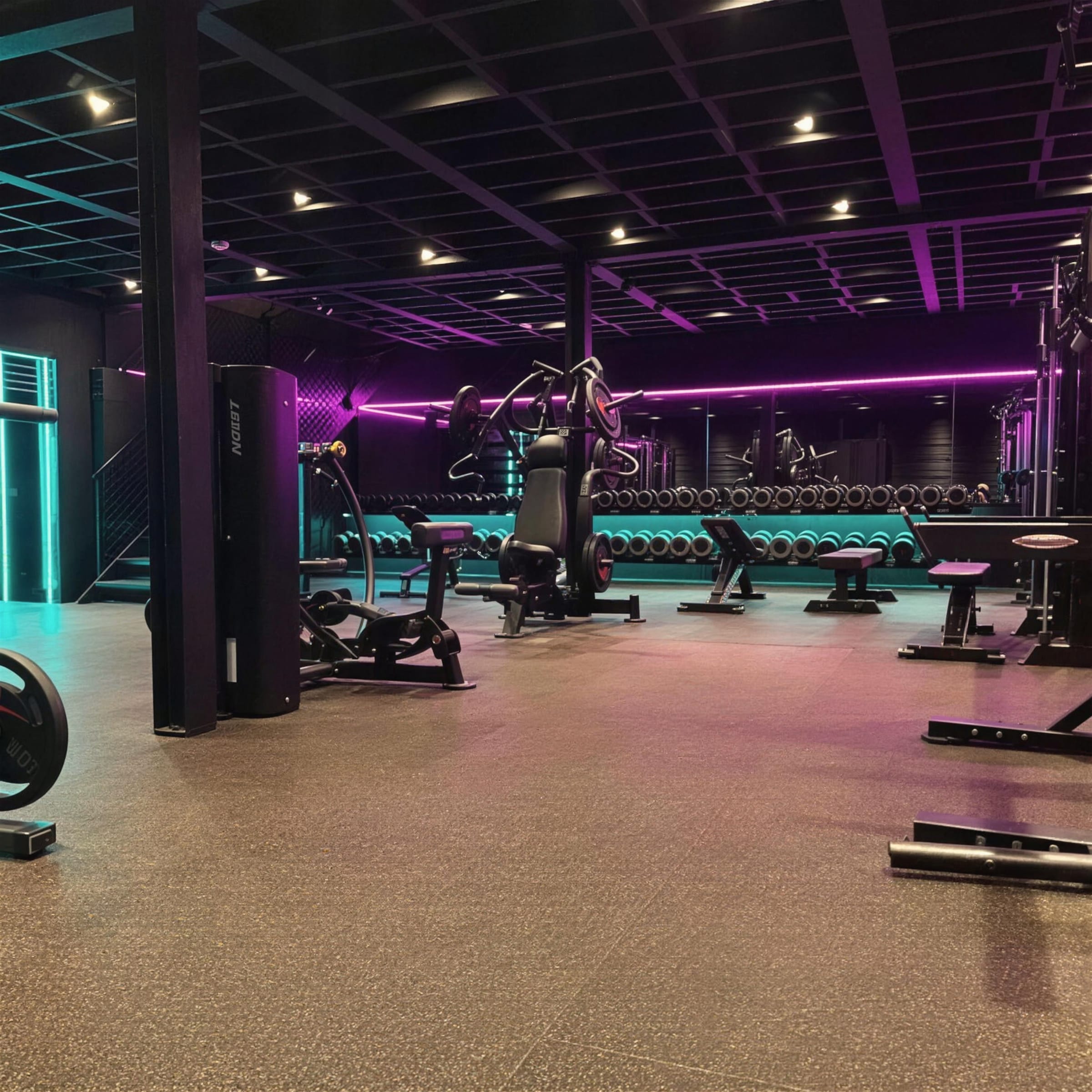 Bright wide view of the gym with magenta LED runs and teal dumbbell racks along the mirror wall.
