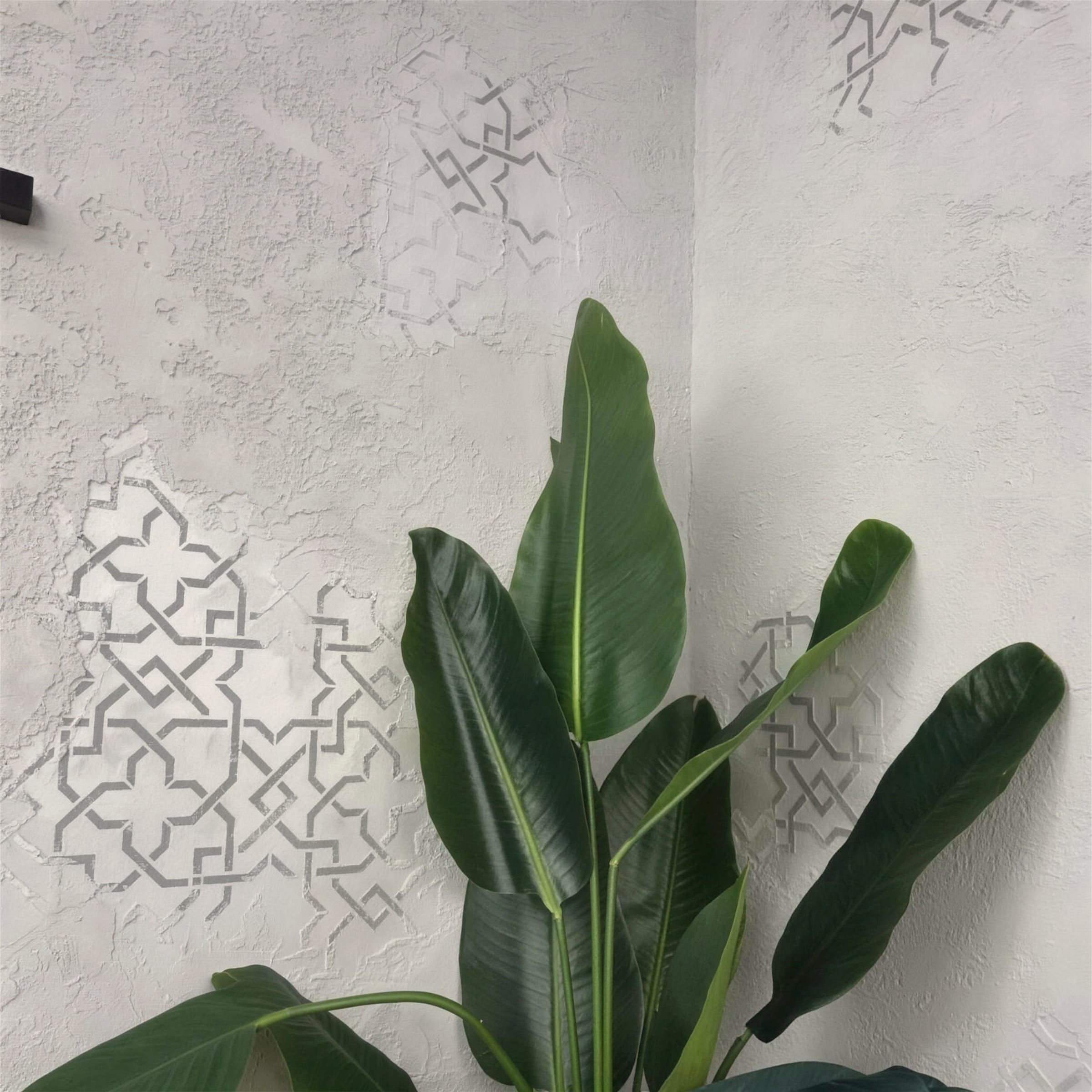 Light grey textured plaster corner with subtle silver geometric stencil relief, softened by a bird-of-paradise plant.